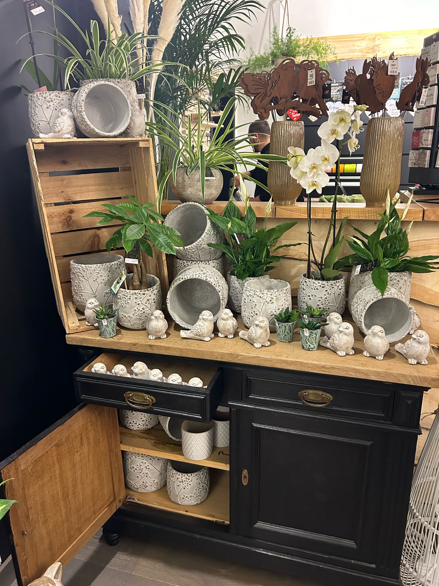 WhatsApp Image 2025-04-19 at 10.34.27 (2)