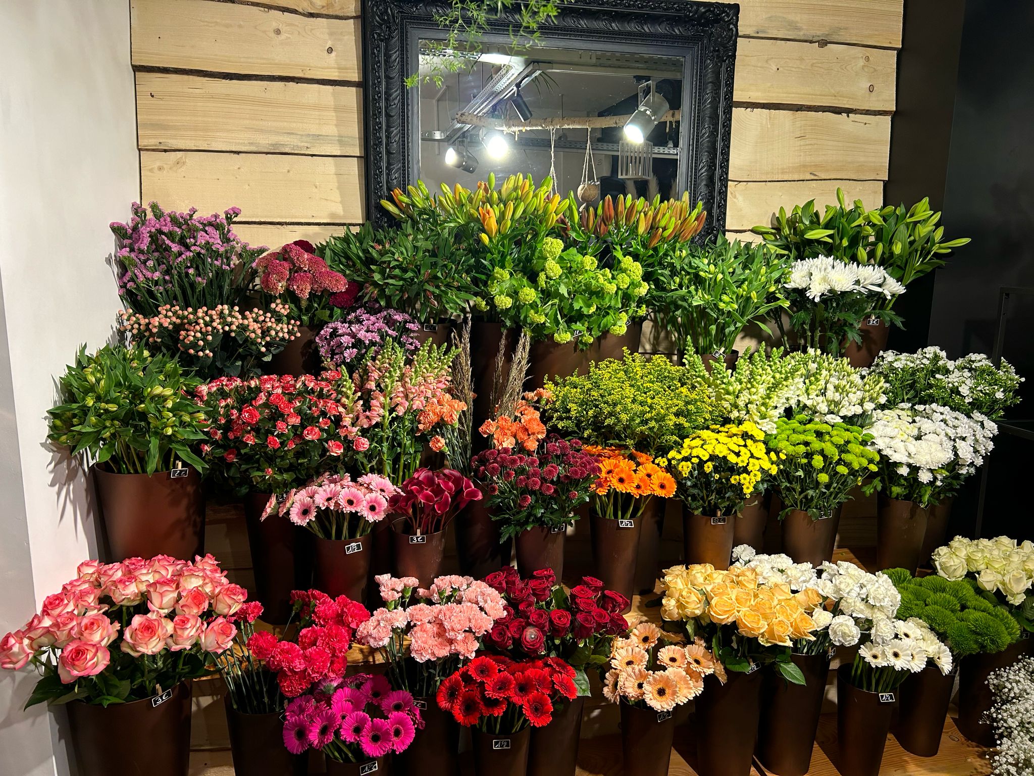 WhatsApp Image 2025-04-19 at 13.13.15 (1)